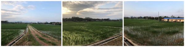 1551349722677765.jpg 222-2.jpg